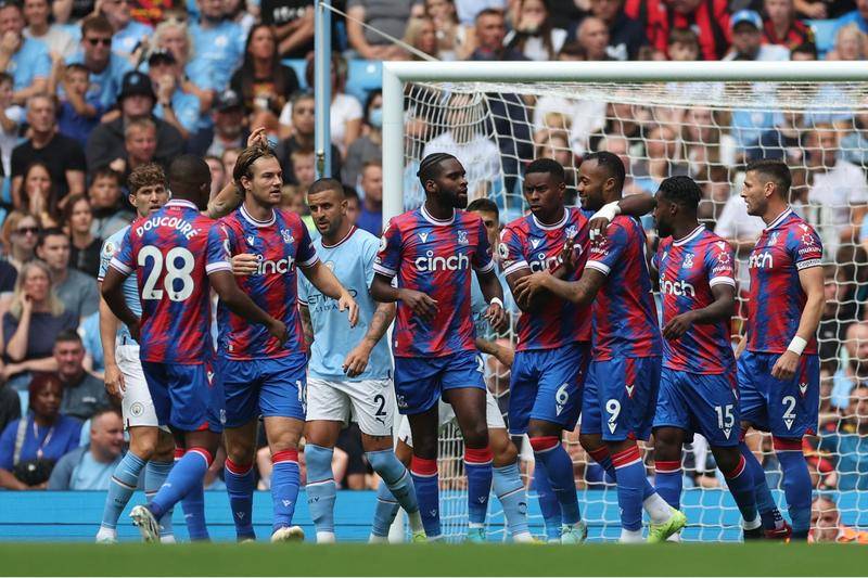 新鲜黄蜂泡 新鲜黄蜂泡